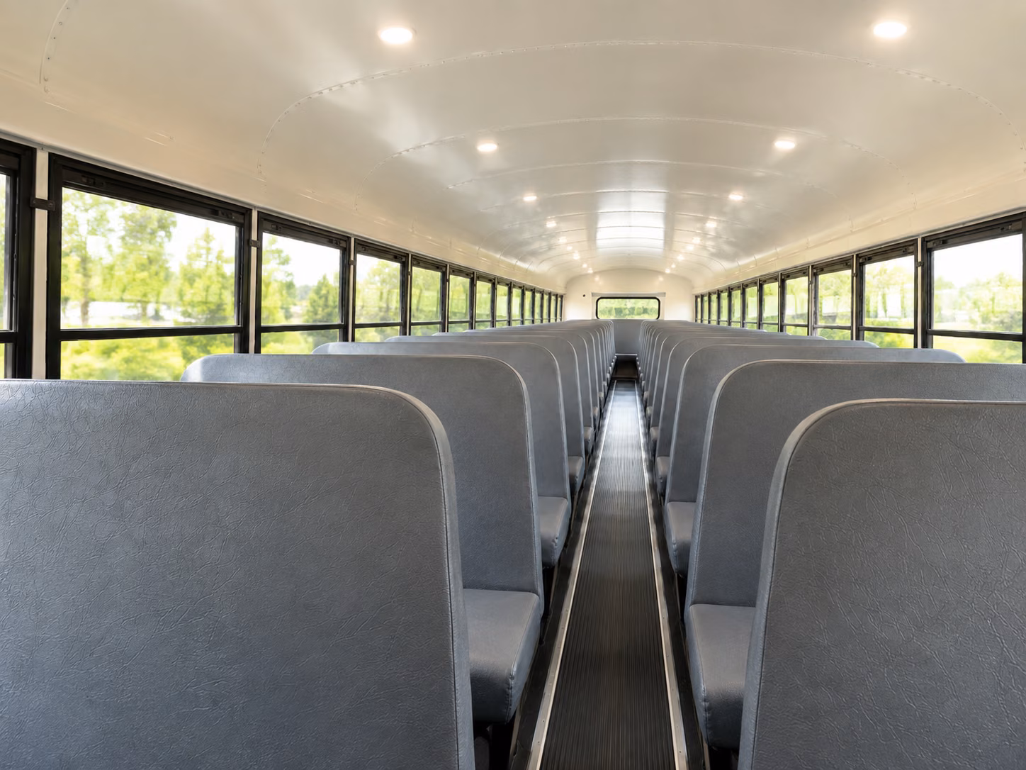 school bus rentals for northwest trek and south sound wildlife field trips